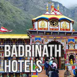 Hotels in Badrinath