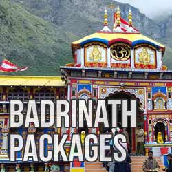 Badrinath Packages