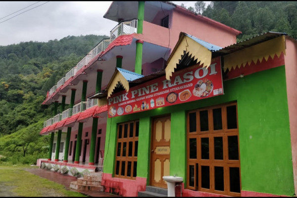 Pink Pine Resort